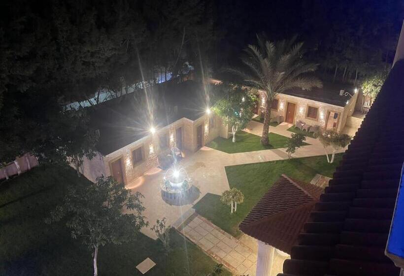 اتاق استاندارد با چشم‌انداز باغ, Turquoise Pyramids