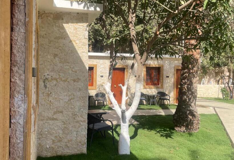 اتاق خانوادگی با چشم‌انداز باغ, Turquoise Pyramids