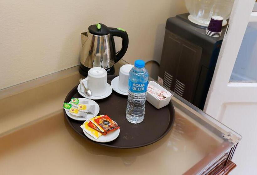 اتاق استاندارد با چشم‌انداز باغ, Turquoise Pyramids