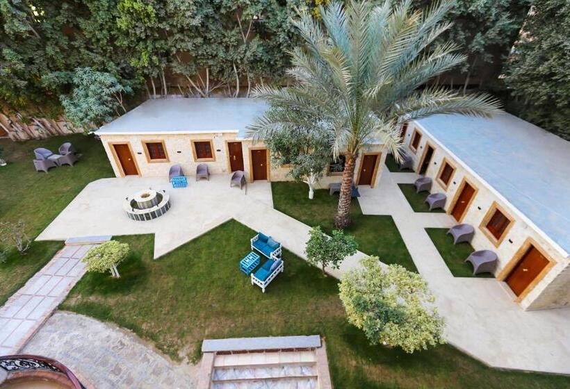 اتاق استاندارد با چشم‌انداز باغ, Turquoise Pyramids