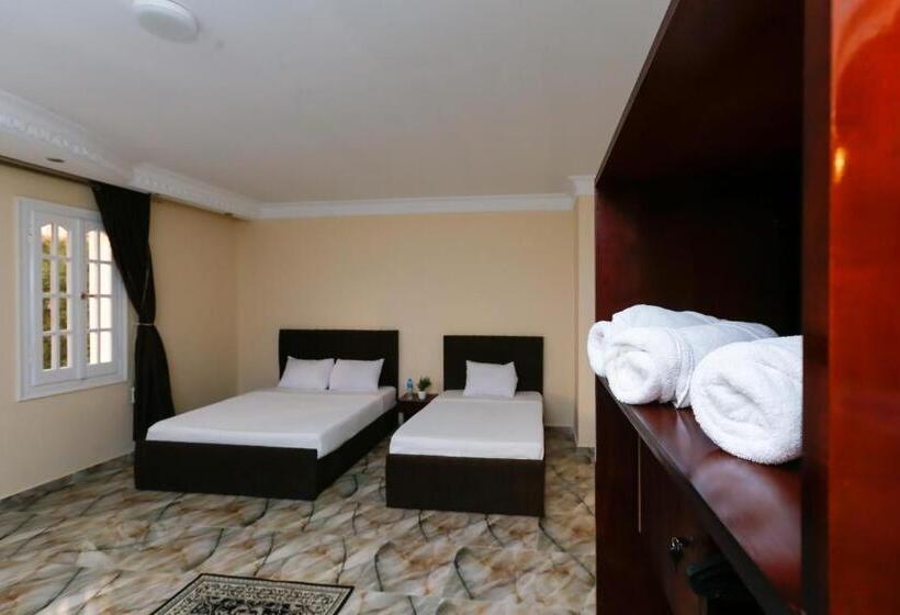 اتاق استاندارد با چشم‌انداز باغ, Turquoise Pyramids