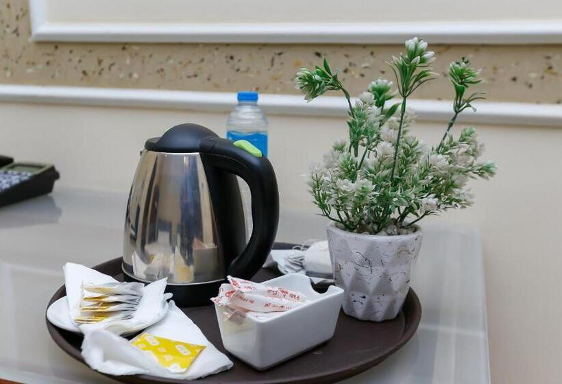 اتاق استاندارد با چشم‌انداز باغ, Turquoise Pyramids