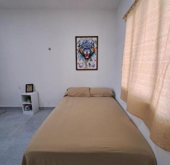 اتاق استاندارد, Tierra Maya