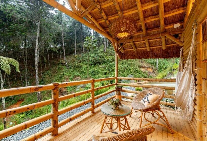 اتاق استاندارد با چشم‌انداز دریاچه, Zen Medellin Satori