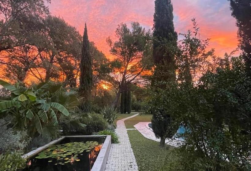 סוויטה, B&b Chambre D Hôtes Gai Félibre Avec Piscine Et Jacuzzi