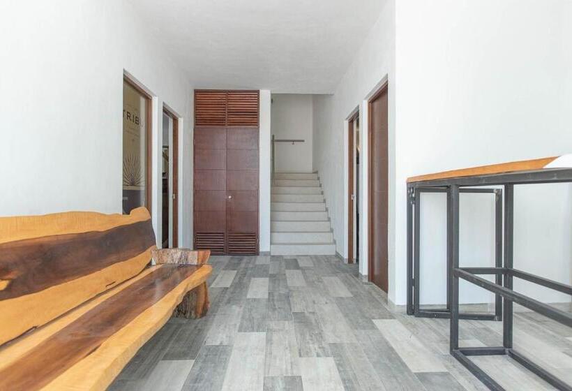 침실 1개 아파트, Condohotel Piedra Del Caribe