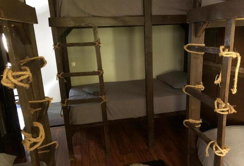 تختخواب در اتاق مشترک, Hostel Nënë Terezës