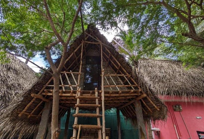 Номер Стандарт, Banana Beach House