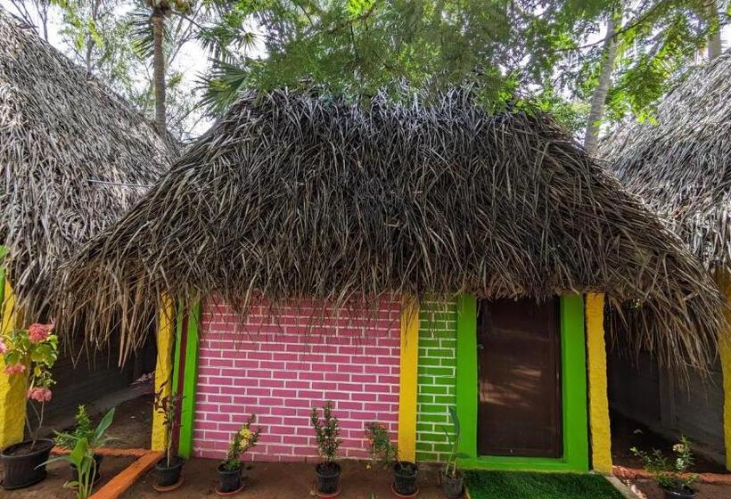 Номер Стандарт Совместная Ванная, Banana Beach House