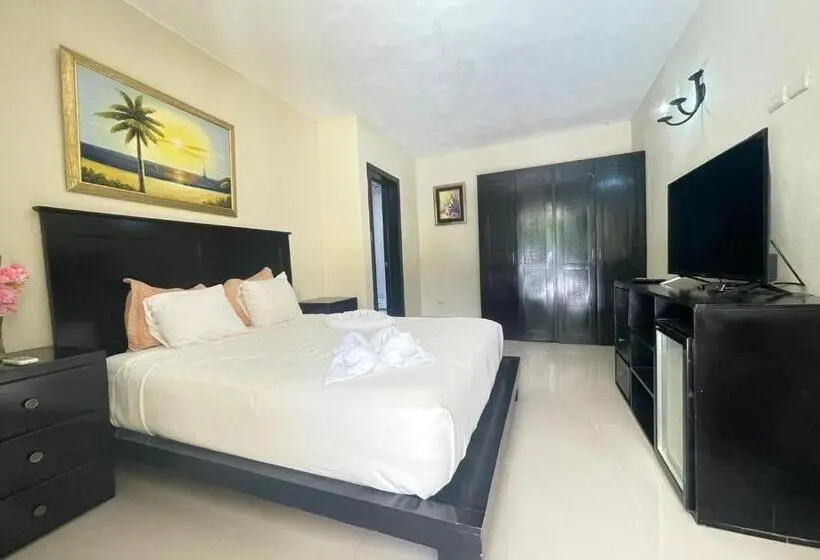 اتاق استاندارد, Brisa