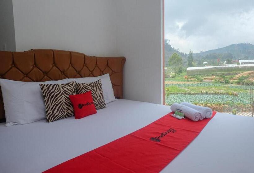 غرفة قياسية, Reddoorz Syariah Near Gerbang Dieng 2