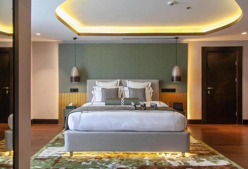 اتاق سوپریور یک تخته, The Delborough Lagos