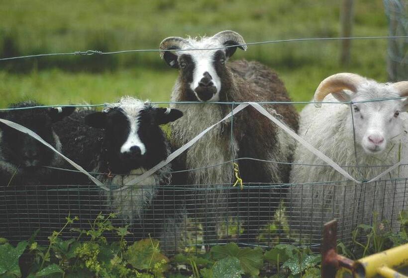 اتاق استاندارد با چشم‌انداز کوهستان, Minna Mosfell Guesthouse