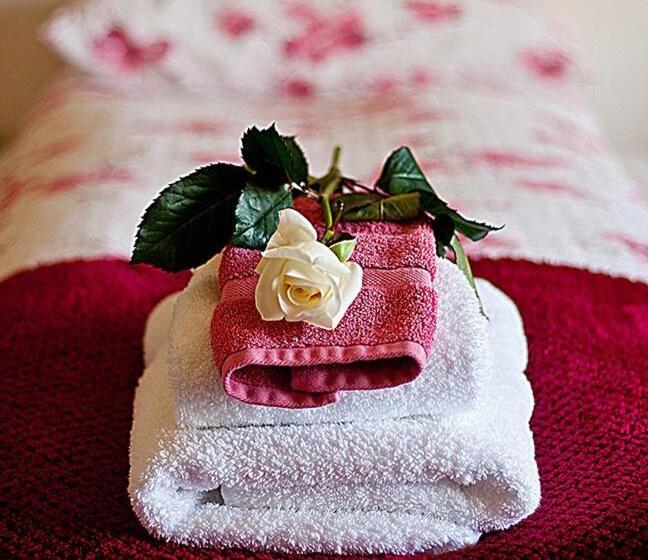 اتاق عادی, Minna Mosfell Guesthouse