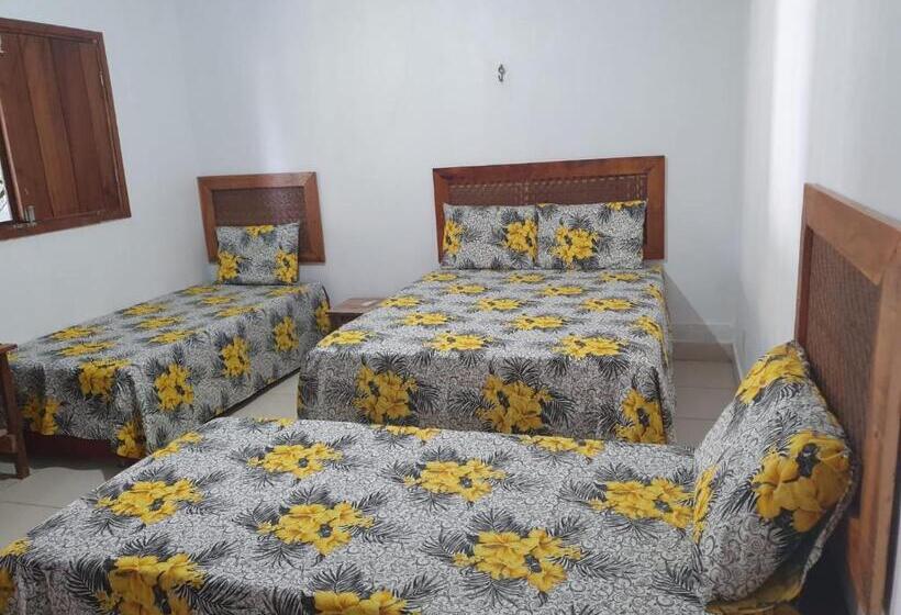 패밀리 룸, Espaço Sairé   Alter Do Chão