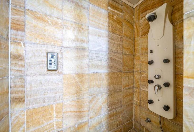 Habitació Deluxe, Airport June