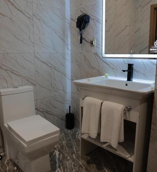 חדר סטנדרט לשלושה, Damir