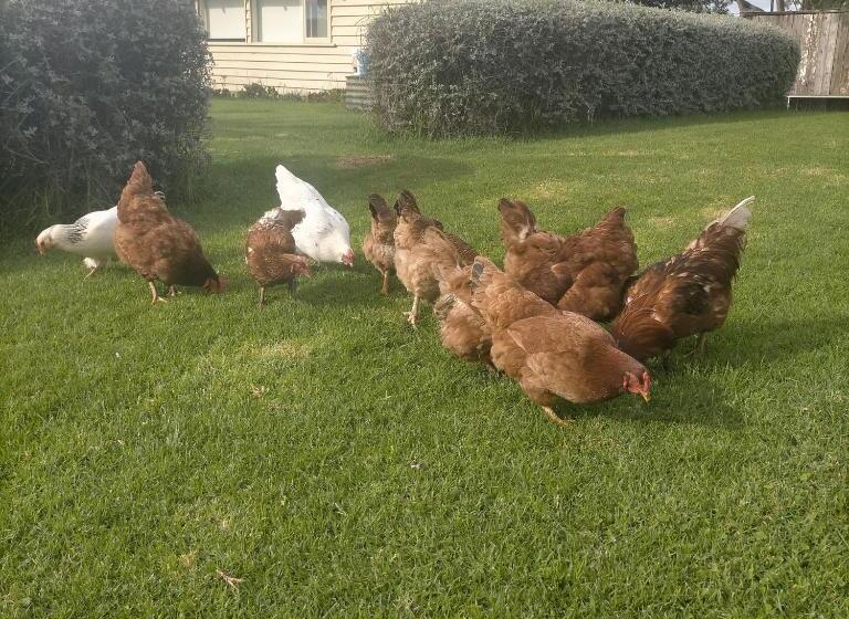 Дом 1 Спальня, Henkley Cottage 2 Jeremiah