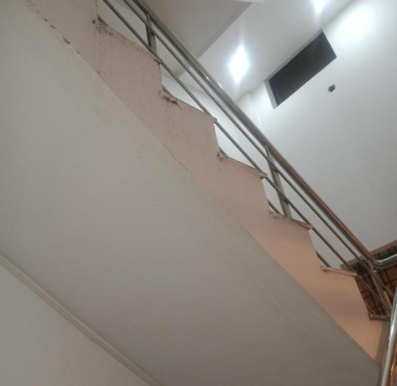 패밀리 룸, Kc Iinn