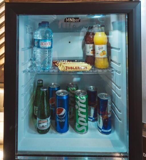 高级套房, Leda Stone House