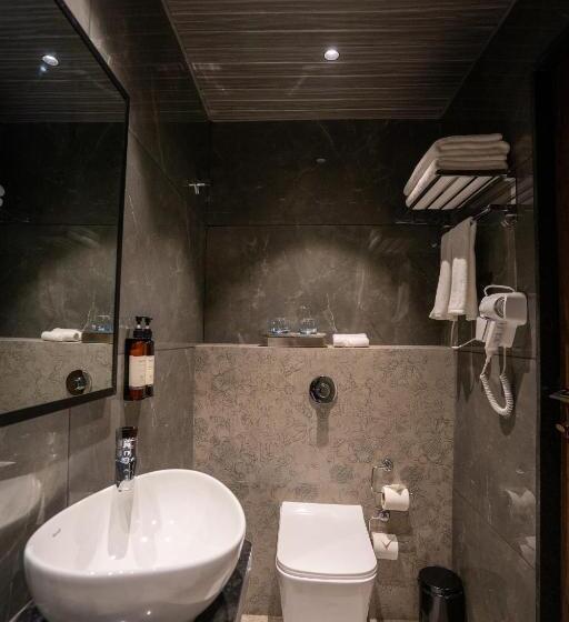 غرفة ديلوكس, Regenta Place Igatpuri