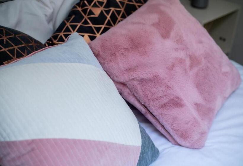 חדר סטנדרט, So Fresh