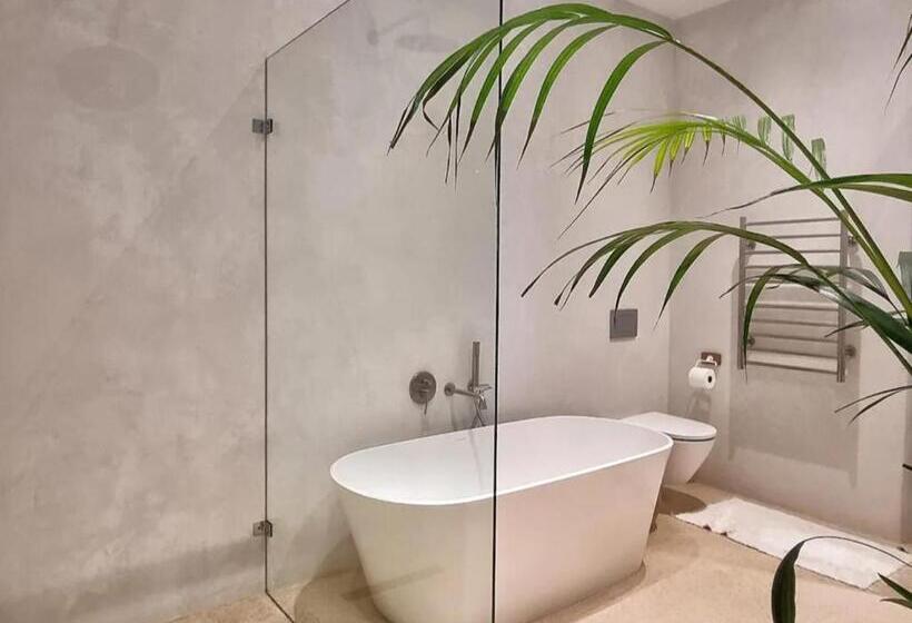 جناح كومفورت, The Dragon Tree Guesthouse