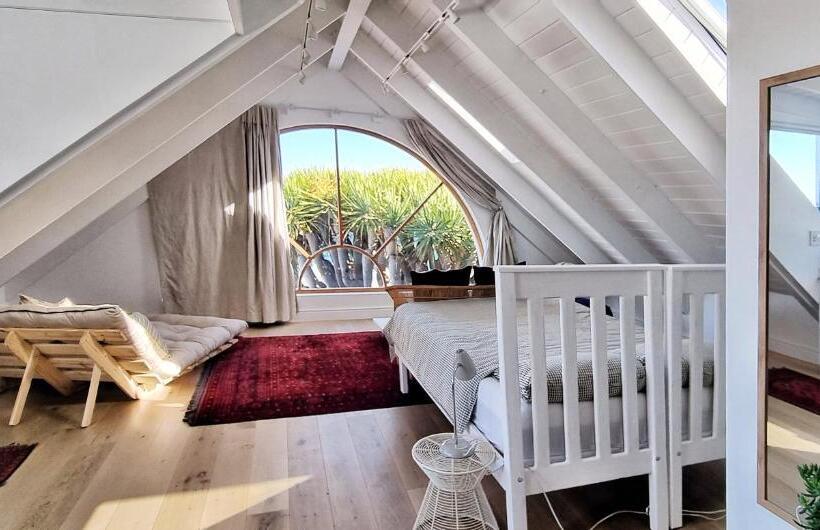 جناح ديلوكس, The Dragon Tree Guesthouse