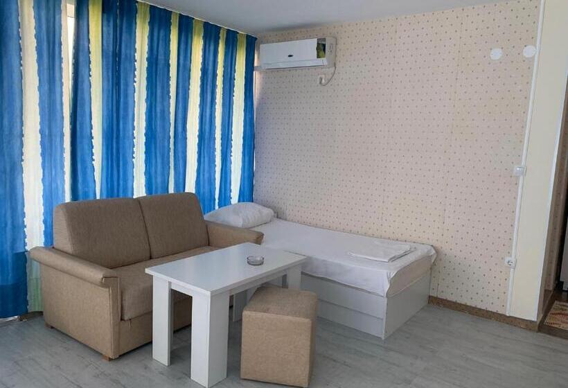 标准工作室带阳台, Stela