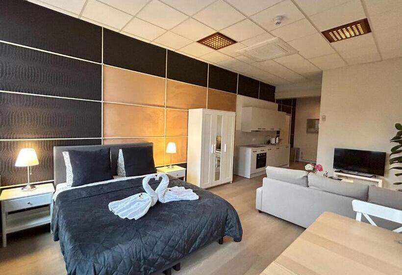 إستوديو قياسى, Cozy Studio S2, City Centre Dordrecht
