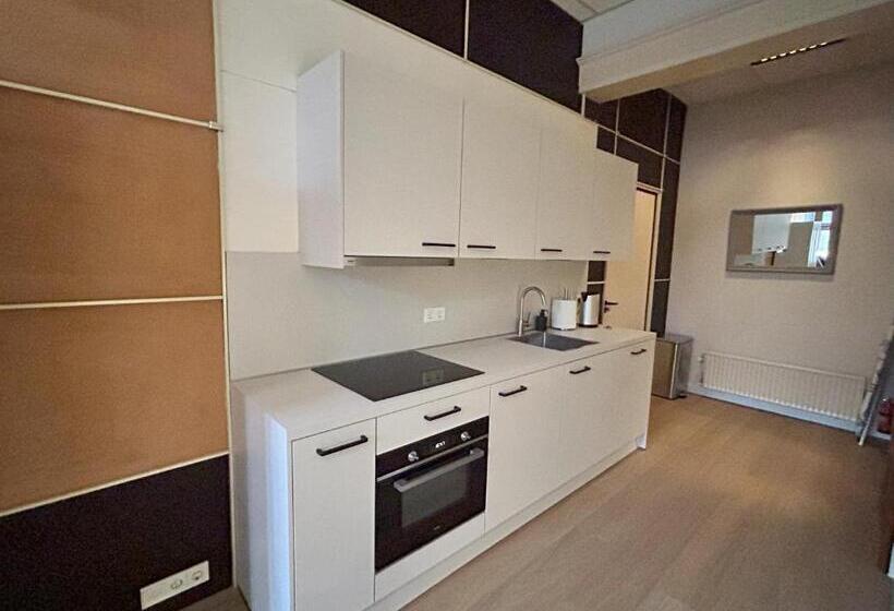 Студия Стандарт, Cozy Studio S2, City Centre Dordrecht