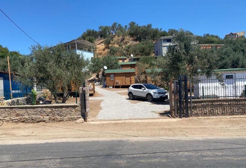 غرفة قياسية, Assos Green Bungalow