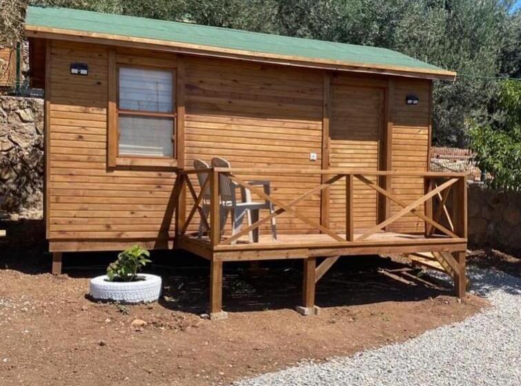 Номер Стандарт, Assos Green Bungalow