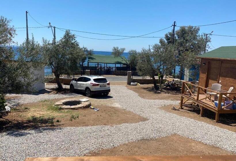 غرفة قياسية, Assos Green Bungalow