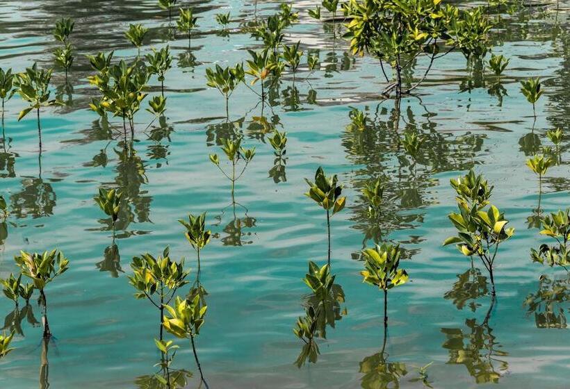 غرفة قياسية مزوَّدة بتراس, Ko Lanta Amantra Lake View Resort