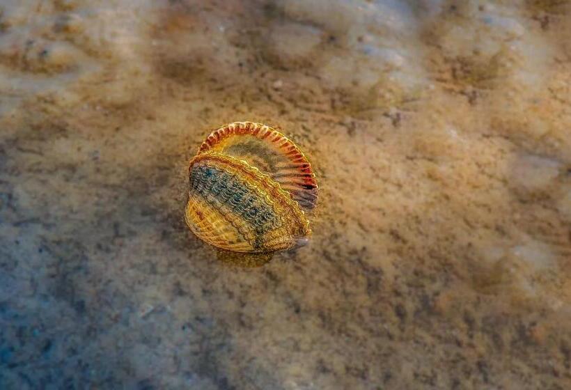 غرفة قياسية مزوَّدة بتراس, Ko Lanta Amantra Lake View Resort