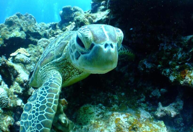 غرفة قياسية مزوَّدة بتراس, Ko Lanta Amantra Lake View Resort