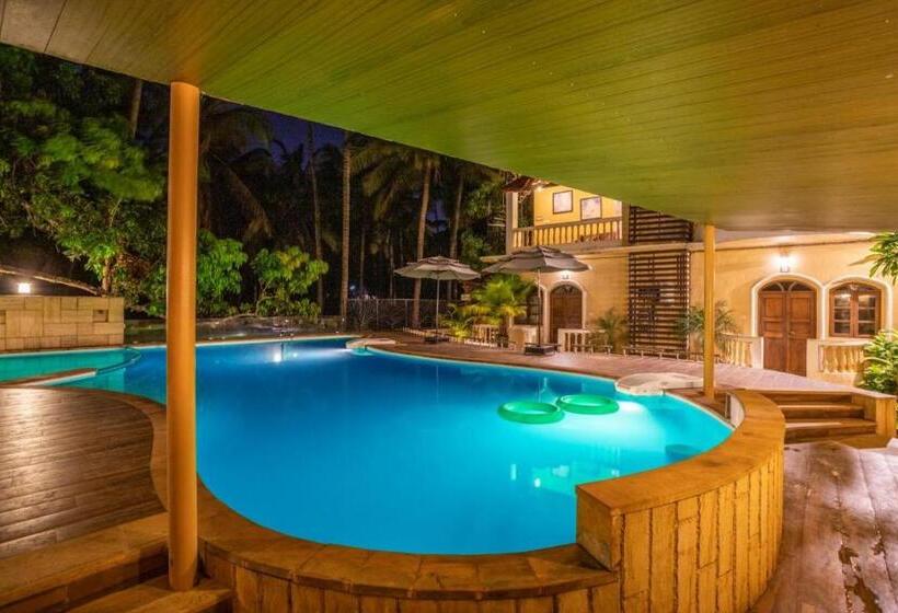 إستوديو قياسى, Coco Goa By Ronne S