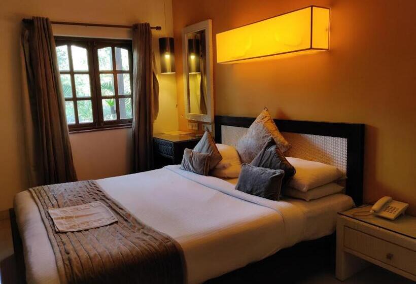 إستوديو قياسى, Coco Goa By Ronne S