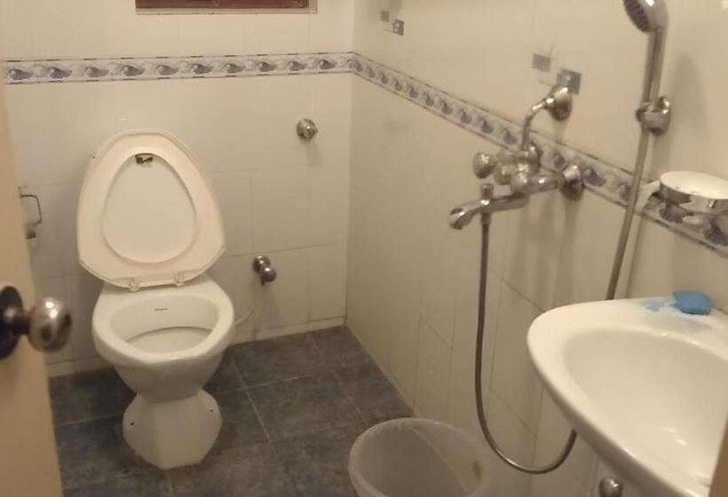 إستوديو قياسى, Coco Goa By Ronne S