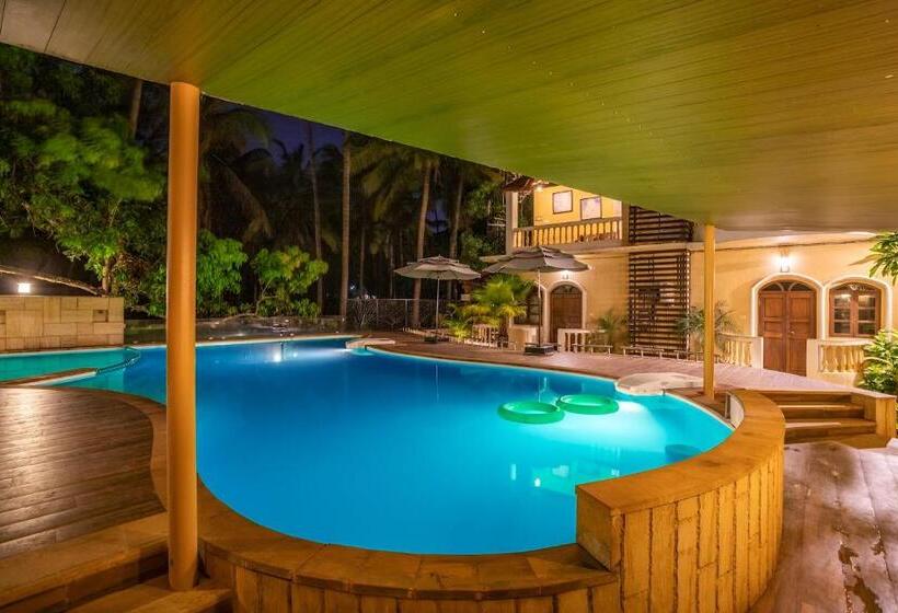 إستديو قياسى مطل على حمام السباحة, Coco Goa By Ronne S