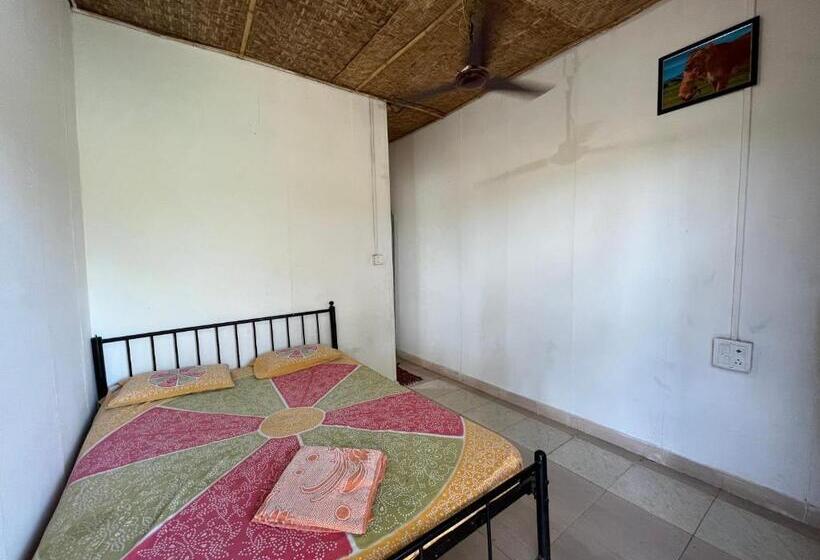 اتاق استاندارد, Wake Park Goa