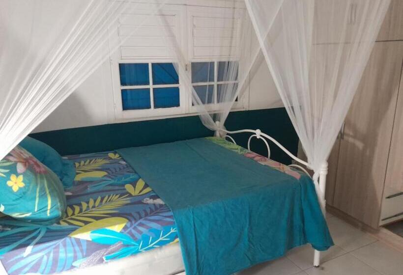 اتاق استاندارد با چشمانداز باغ, Spirit