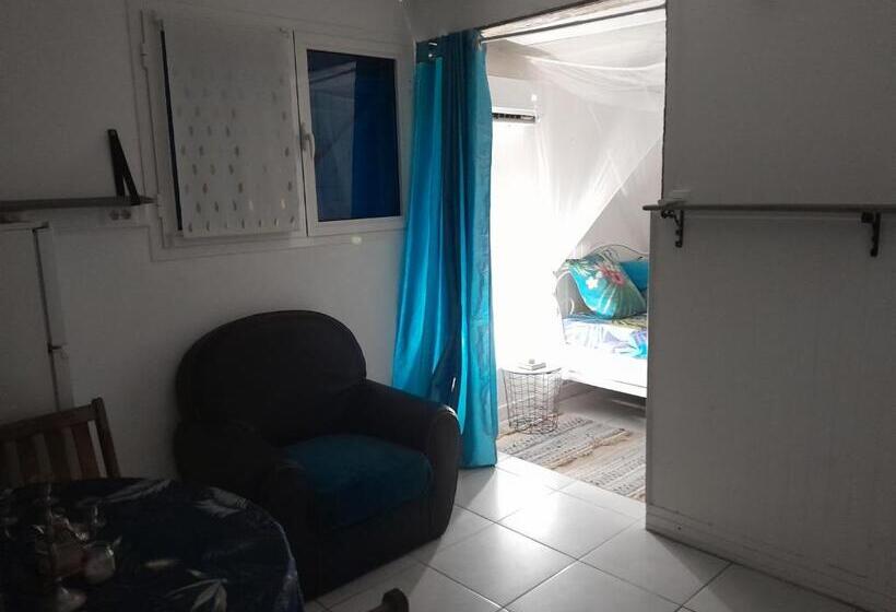 اتاق استاندارد با چشمانداز باغ, Spirit