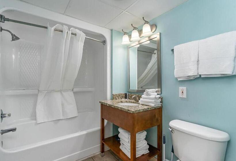 شقة غرفة واحدة, Camelot By Sea