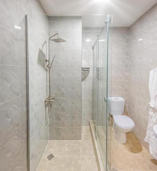 اتاق استاندارد سه نفره, Dzvel Ubanshi