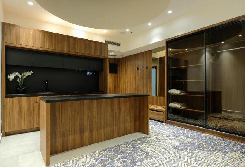 آپارتمان 1 خوابه با تراس, Vema