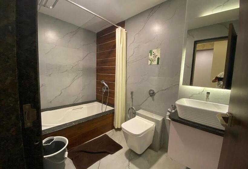 חדר קלאסי לשלושה, Swaraj