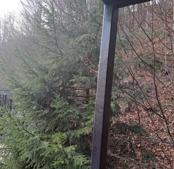 غرفة قياسية, Hillden Lodge &restaurant