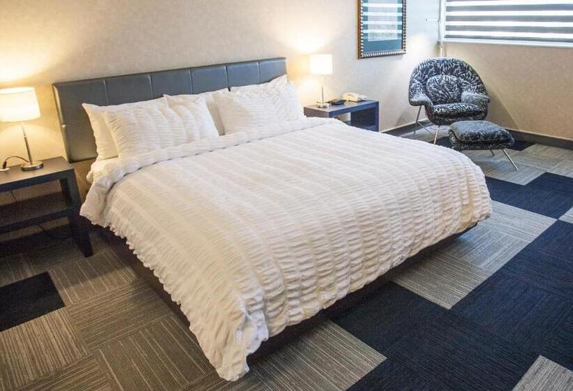 디럭스 스위트 킹 침대, Rapid City Hotel Luxury Private Suites